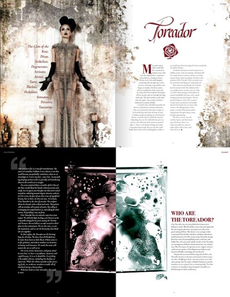 White Wolf & FriaLigan - Toreador Kopfgraphik