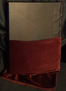 V5 Luxury Edition halb in ihrer Hülle Rückseite