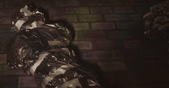 Embrace The Unkown - Tender - ARG zum Vampire Charity Stream