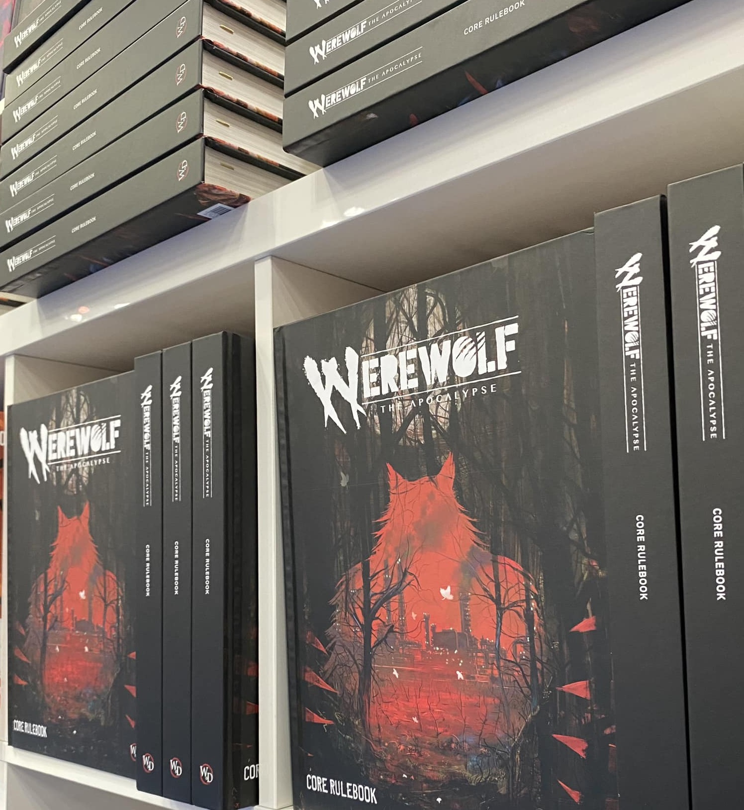 Regal mit W5 Grundregelwerken